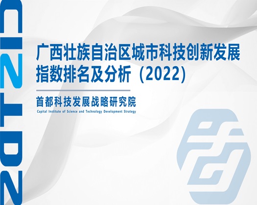 男女草屄视频网站【成果发布】广西壮族自治区城市科技创新发展指数排名及分析（2022）